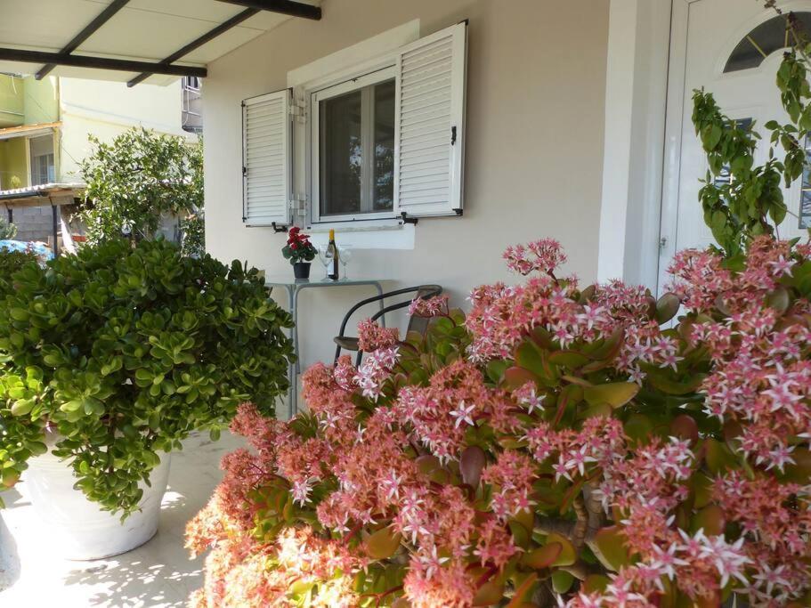 Michaels Flower House Kanali  Luaran gambar